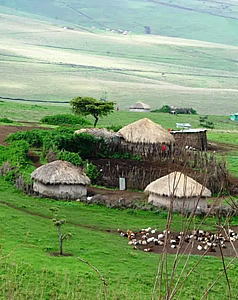 assets/images/tours/7-days-tanzania-wildebeest-migration-safari.jpg